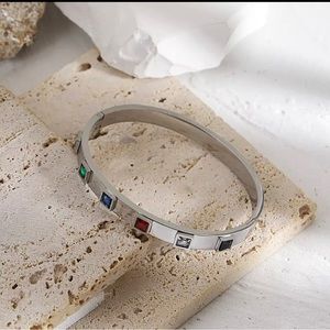 Women's Stainless Steel Bracelets Bangles